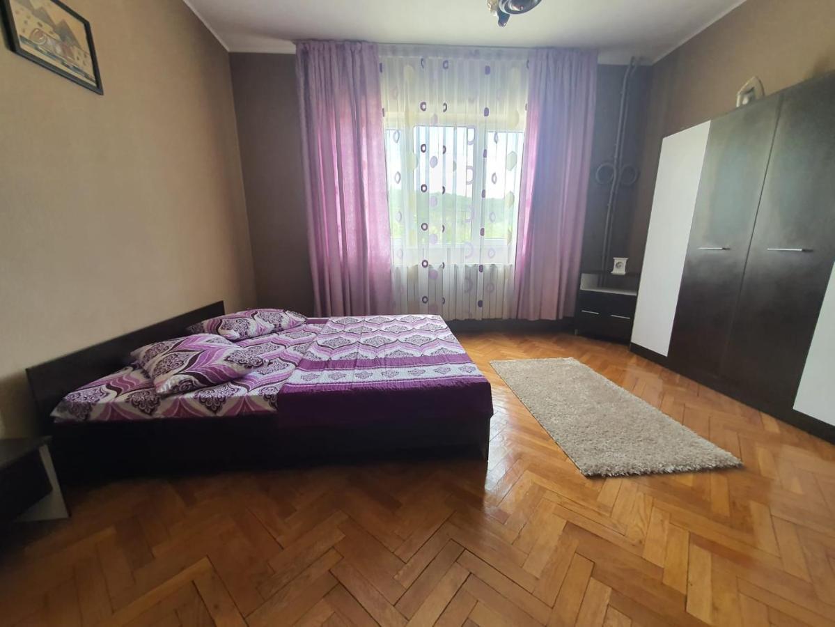 הוילה Orşova Pretty Garden מראה חיצוני תמונה