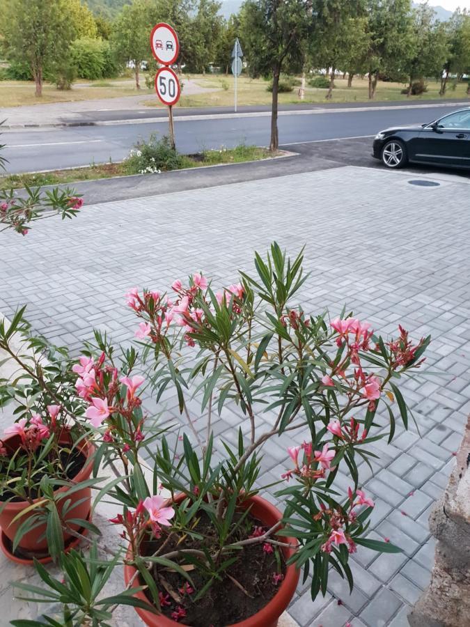 הוילה Orşova Pretty Garden מראה חיצוני תמונה